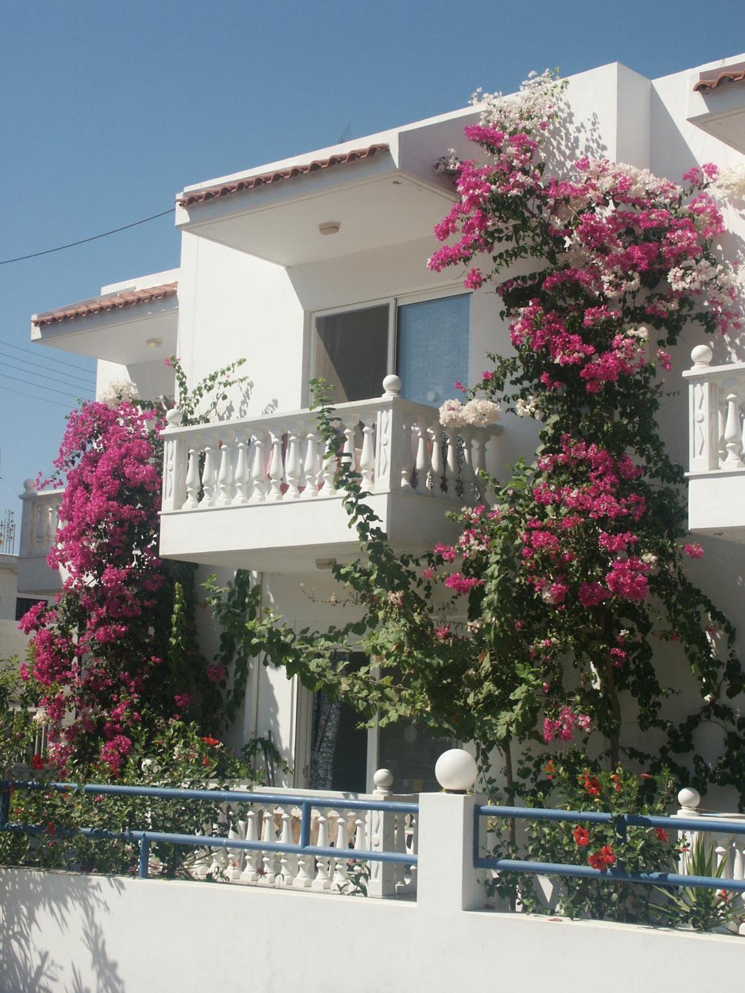 Castle View Apartments Харакі Екстер'єр фото